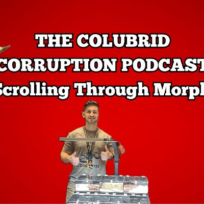 Scrolling Through MorphMarket's Best Colubrid Ads | The Colubrid Corruption Podcast | Ep. 67 Scrolling Through MorphMarket's Best Colubrid Ads | The Colubrid Corruption Podcast | Ep. 67