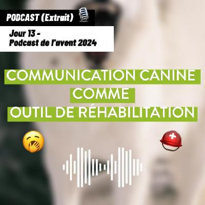 JOUR 13 - La communication canine comme outil de réhabilitation [Podcast de l'avent 🎄]