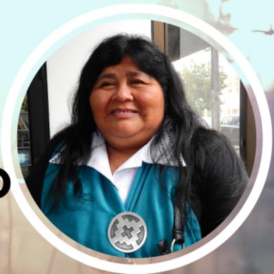 Emilia Nuyado, Diputada por el 25° Distrito Emilia Nuyado, Diputada por el 25° Distrito