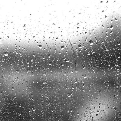 ~ 20 Regen, Filme und tote Fische ~ 20 Regen, Filme und tote Fische