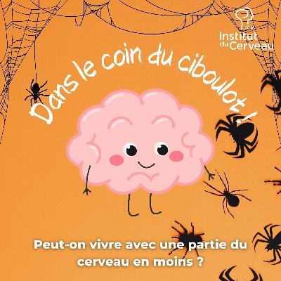 Peut-on vivre avec une partie du cerveau en moins ? Peut-on vivre avec une partie du cerveau en moins ?