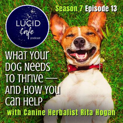 What Your Dog Needs to Thrive — And How You Can Help with Rita Hogan What Your Dog Needs to Thrive — And How You Can Help with Rita Hogan