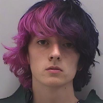 🇺🇸 Fusillade à l'école STEM