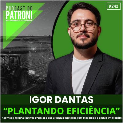 #242 - Plantando eficiência