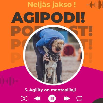 4. Agility on mentaalilaji