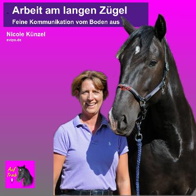 Arbeit am langen Zügel: Reiten vom Boden aus.