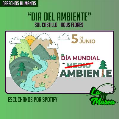 Dia del ambiente