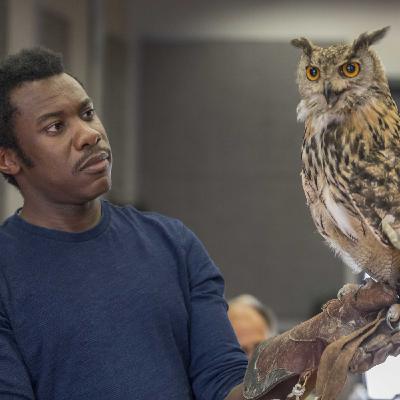 ADAMA DIOP, Comédien