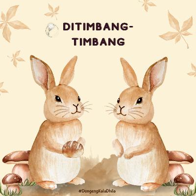 Ditimbang-timbang