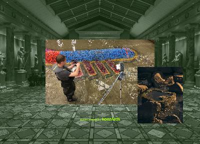 Assemble!: EP. 03 ADAPTATION  REWILDING