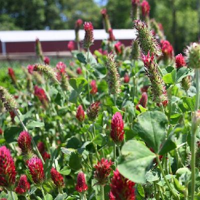 Episode 4: Got Weeds?—Nick Basinger & David Weisberger