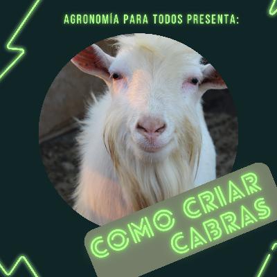 Para Criar cabras debemos...