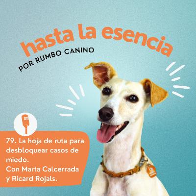 79. Miedos Dic 25 W3 – La hoja de ruta para desbloquear casos de miedo