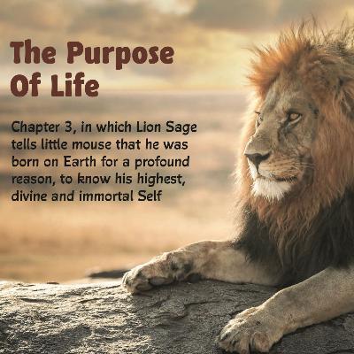 Chapter 3 - The Purpose Of Life