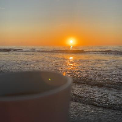 🌅🌊Oceanside Guided Meditation✨🦀 🌅🌊Oceanside Guided Meditation✨🦀