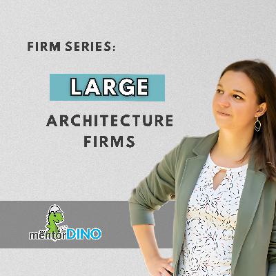99: Firm Series: Large Firms