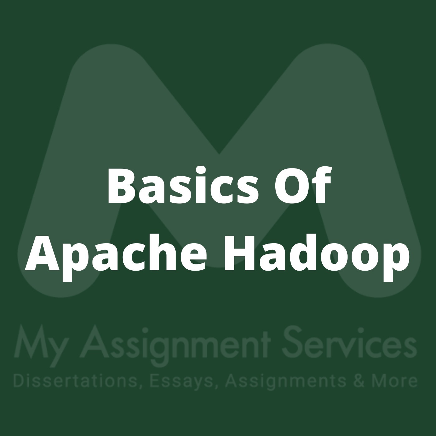 My Assignment Services