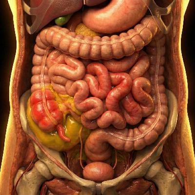 El fin de las cirugías innecesarias: diagnosticando la apendicitis aguda