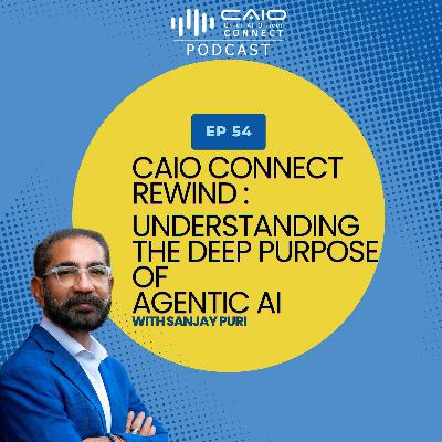 Understanding Agentic AI Through a Chief AI Officer’s Lens | Chief AI Officer Podcast Understanding Agentic AI Through a Chief AI Officer’s Lens | Chief AI Officer Podcast