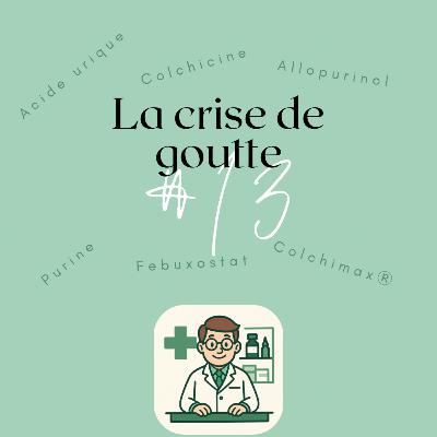 #13 La crise de goutte