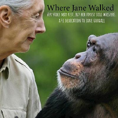 Where Jane Walked Where Jane Walked