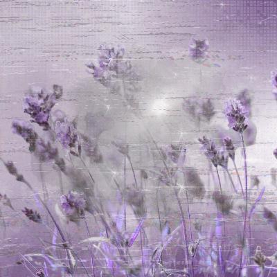 Lavender & Just Walk Out Shopping