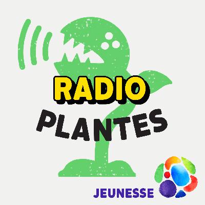 Radio Plantes E4 - On se cultive