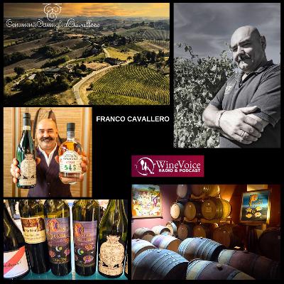 Benvenuti in Cantina: CANTINE SANT'AGATA "Franco Cavallero, il Ruchè nel mondo !" 3/3 (Piemonte)