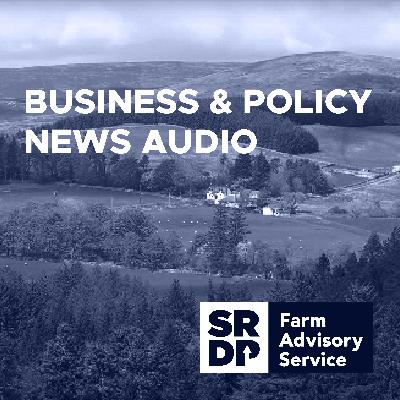 Business & Policy News Audio May 2025: Policy, cereal, beef, sheep and milk updates and a spotlight on US tariffs Business & Policy News Audio May 2025: Policy, cereal, beef, sheep and milk updates and a spotlight on US tariffs