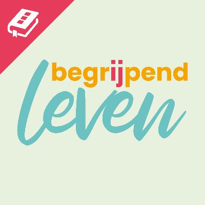 #28 – Van millennials naar twintigers! - Met Jan Martijn Abrahamse en Marijn Vlasblom