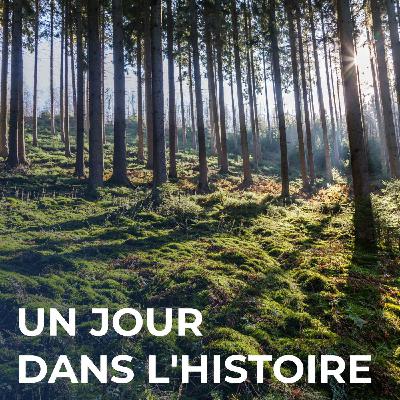 La forêt ardennaise et ses métiers