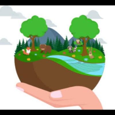 El medio ambiente
