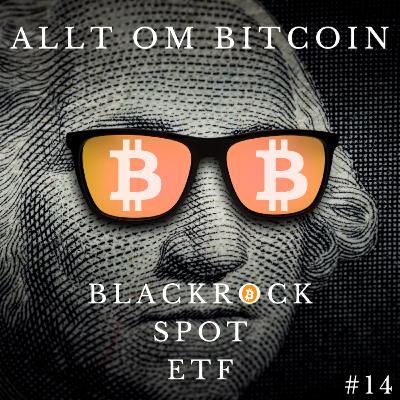 #14 BlackRock Spot ETF #14 BlackRock Spot ETF