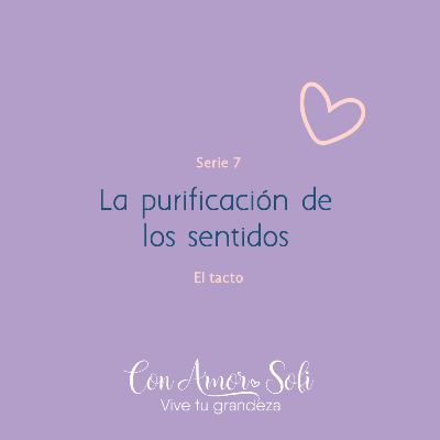 Serie 7: La purificación de los sentidos / El Tacto