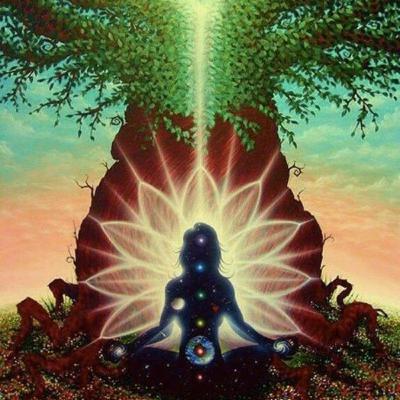 Sessão Desprogramação Neurobiológica - Fazendo as pazes com você mesmo