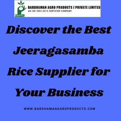 Discover the Best Jeeragasamba Rice Supplier for Your Business