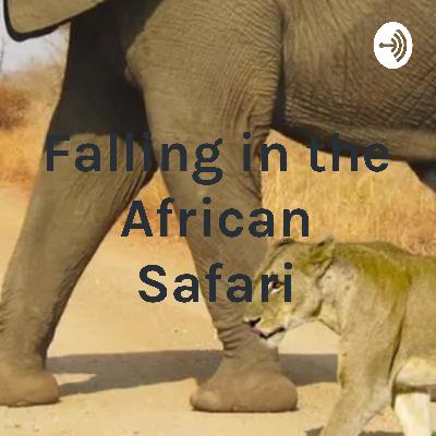 Poaching In Africa