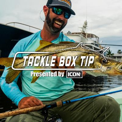 This MUST DO TIP will help you catch more fish! This MUST DO TIP will help you catch more fish!