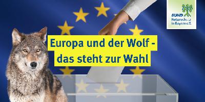 Teil 3: Europa und der Wolf – das steht zur Wahl
