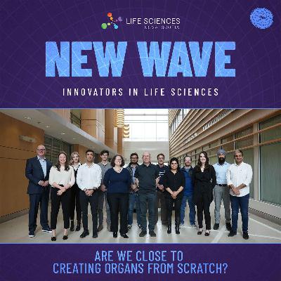 Are We Close To Creating Organs From Scratch?