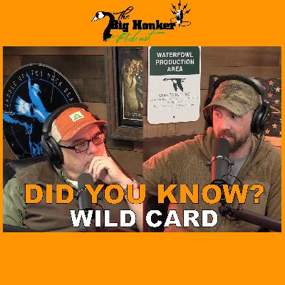 🚨 DID YOU KNOW? 🚨Wild Card