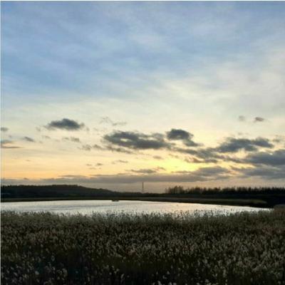 Episode 10 - Fairburn Ings, Waiting for The Murmuration