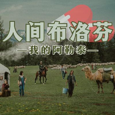 我的阿勒泰—打工人的“布洛芬”+奇妙的北疆之旅