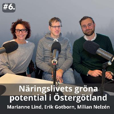 6 Näringslivets gröna potential i Östergötland
