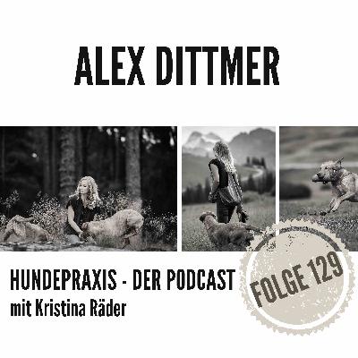 Spektakel in der Hundeschule