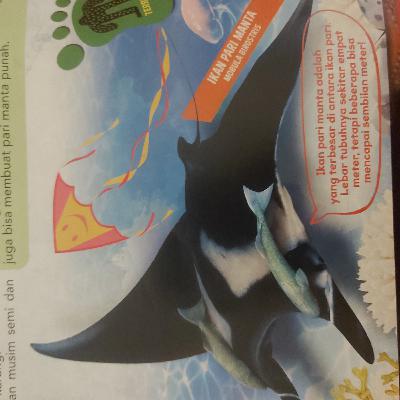 Penghuni terbesar di Samudera Pasifik