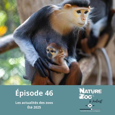 Épisode 46 (ACTU) - Les actualités de l'été 2025 Épisode 46 (ACTU) - Les actualités de l'été 2025