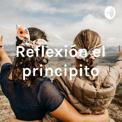 Reflexión el principito