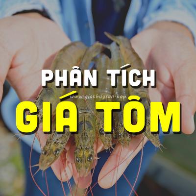 PHÂN TÍCH GIÁ TÔM MIỀN TÂY 13/10/2025 THỊ TRƯỜNG TÔM #ĐBSCL #PODCAST #GIATHUYSAN #GIATOM #THUYSANTV