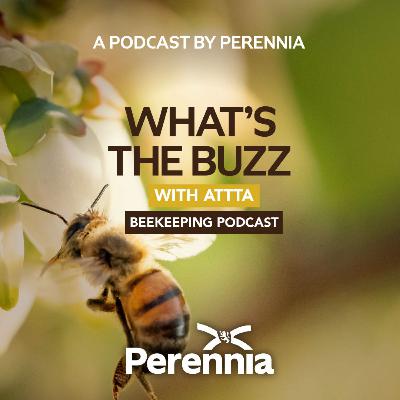 What’s the Buzz with ATTTA Beekeeping Podcast: Episode Seven